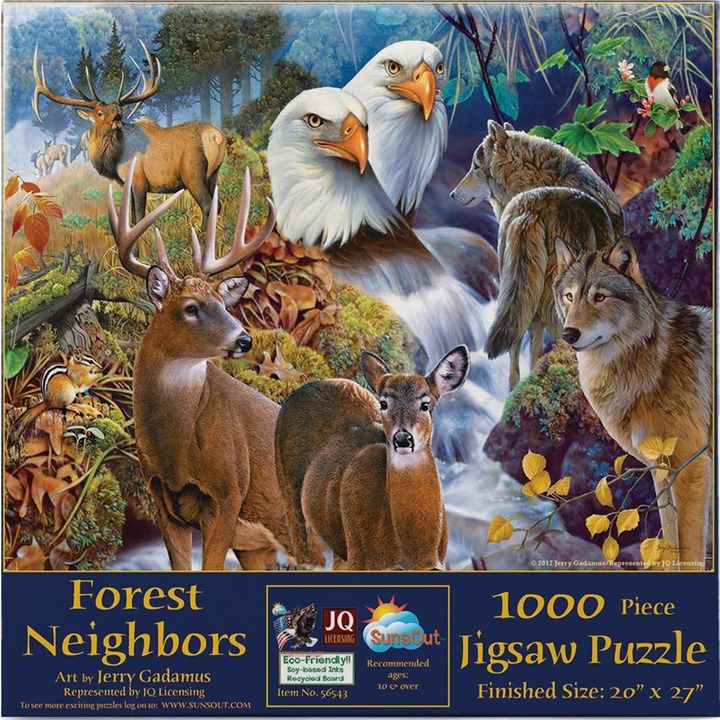 Forest Neighbors