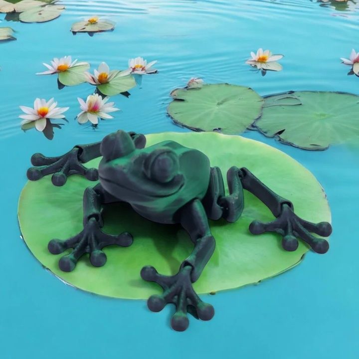 Lilly Leap Frog