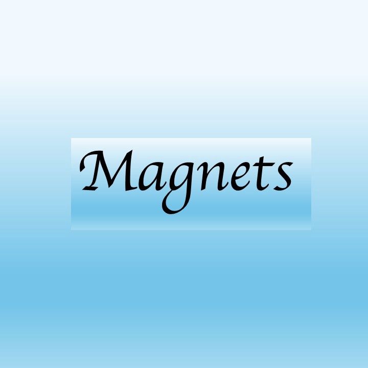 Magnet