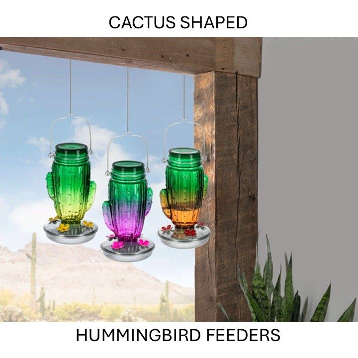 Cactus Hummingbird Feeders