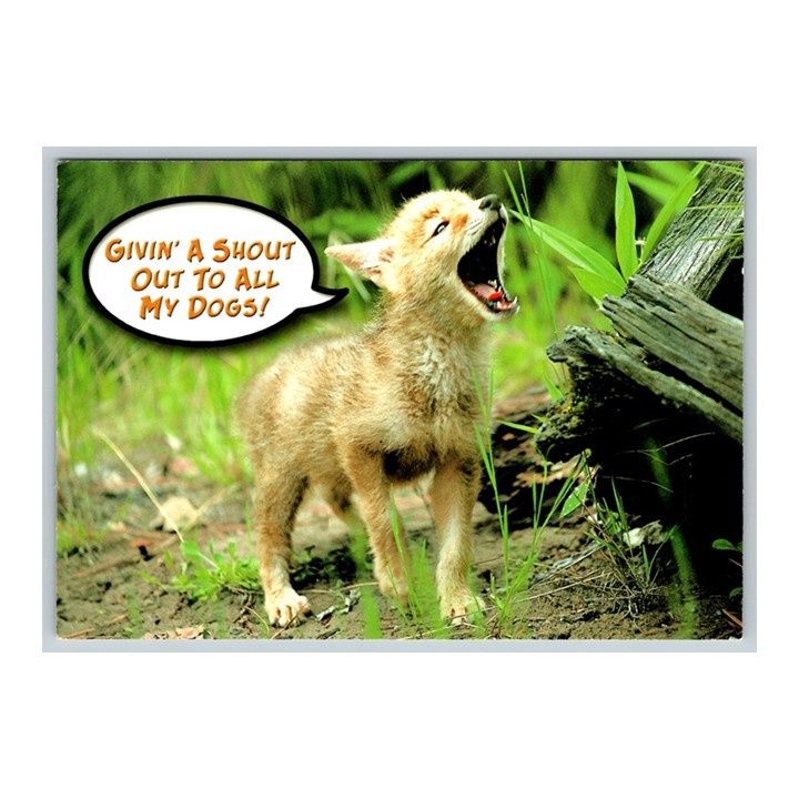 PC Givin' a Shout Out to All My Dogs!