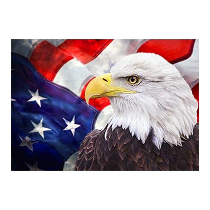 PC Bald Eagle/USA Flag