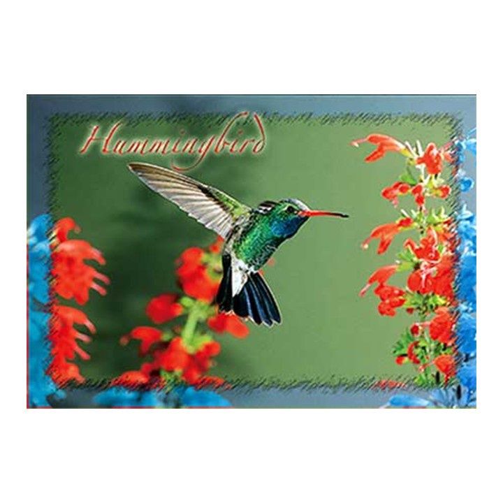 PC Gen An Hummingbird