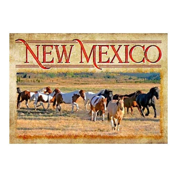 PC NM Horses