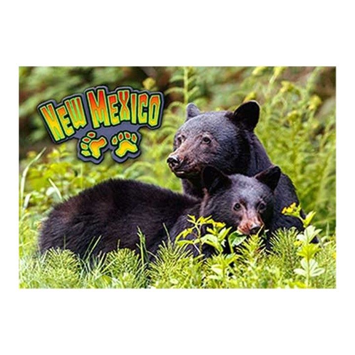 PC NM Black Bear