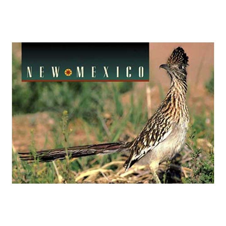 PC Roadrunner-Clown Of The Desert