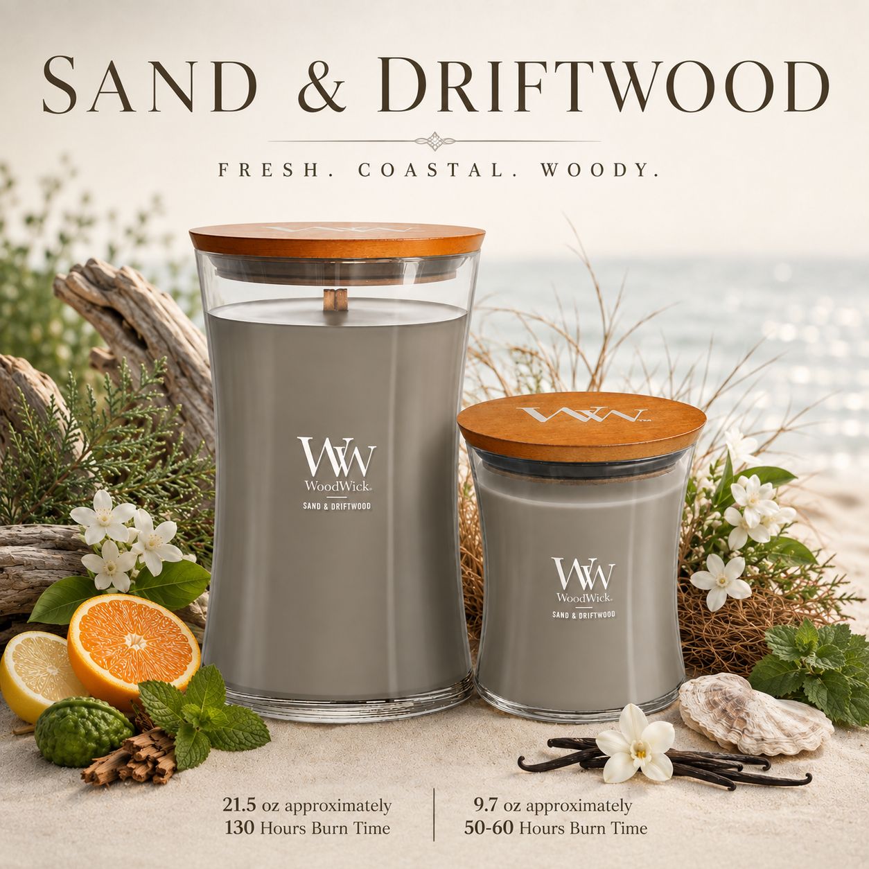 C Sand &amp; Driftwood