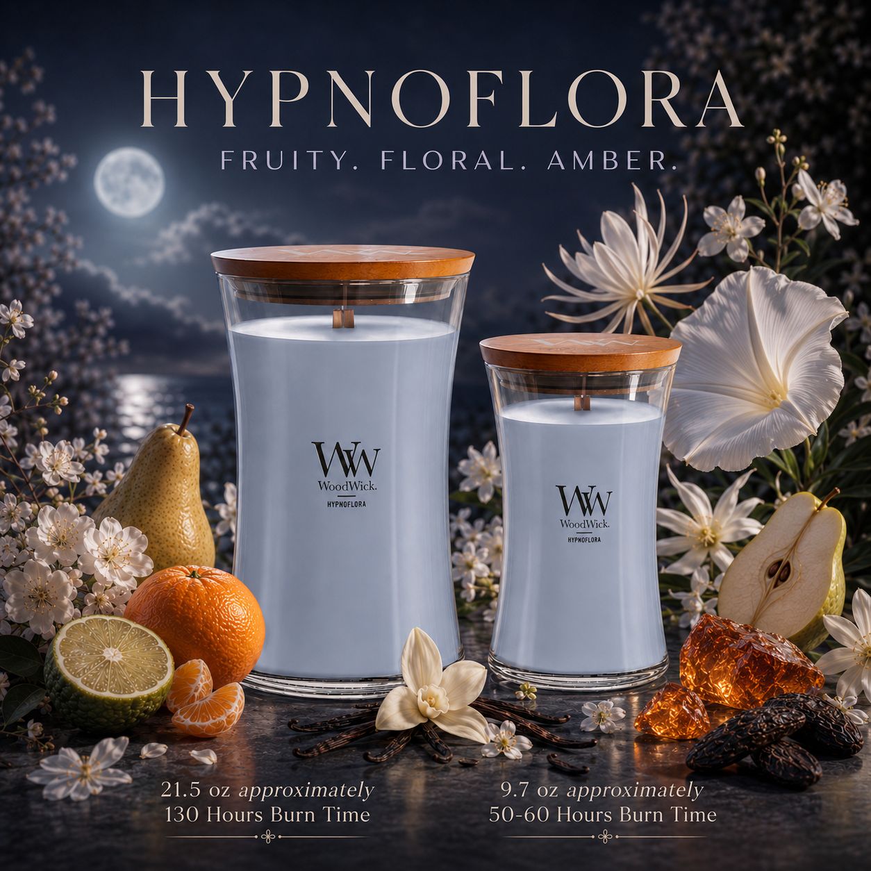C Hypnoflora