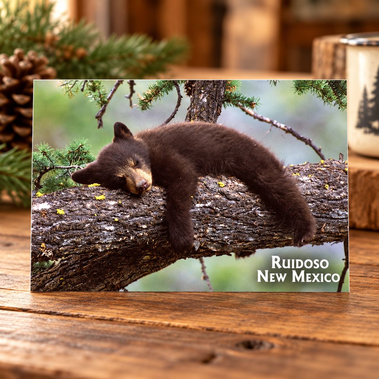 PC Black Bear in Tree