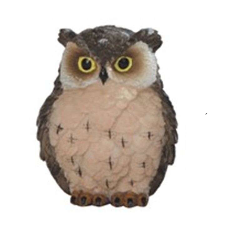 Owls Colored, Color: Brown