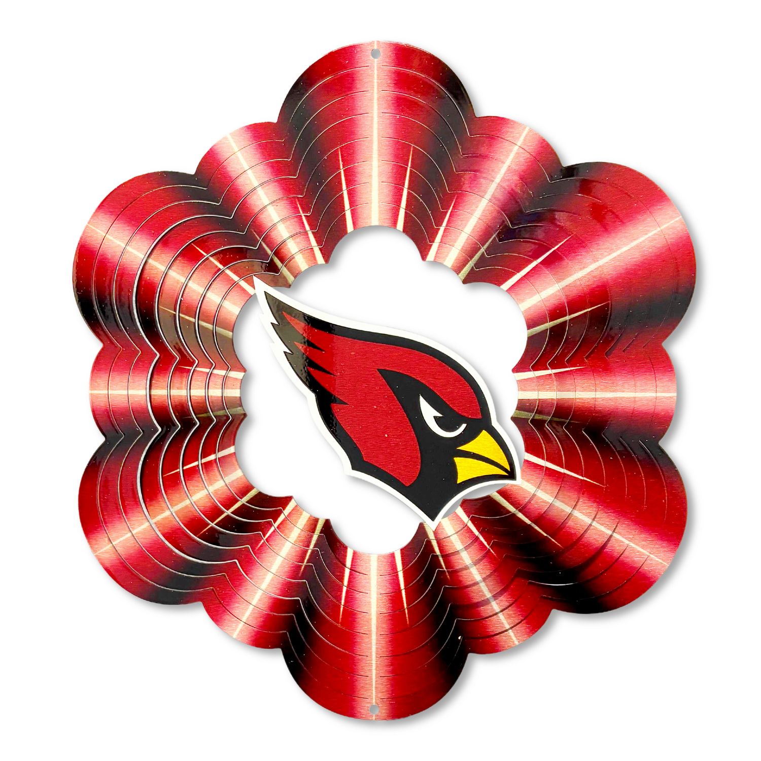 NFL-Arizona Cardinals