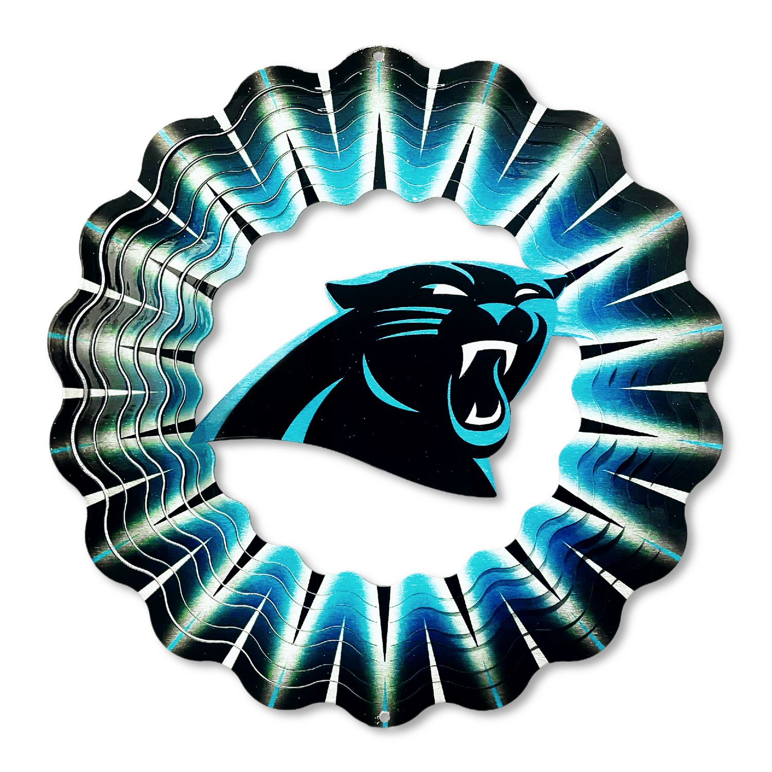 NFL-Carolina Panthers