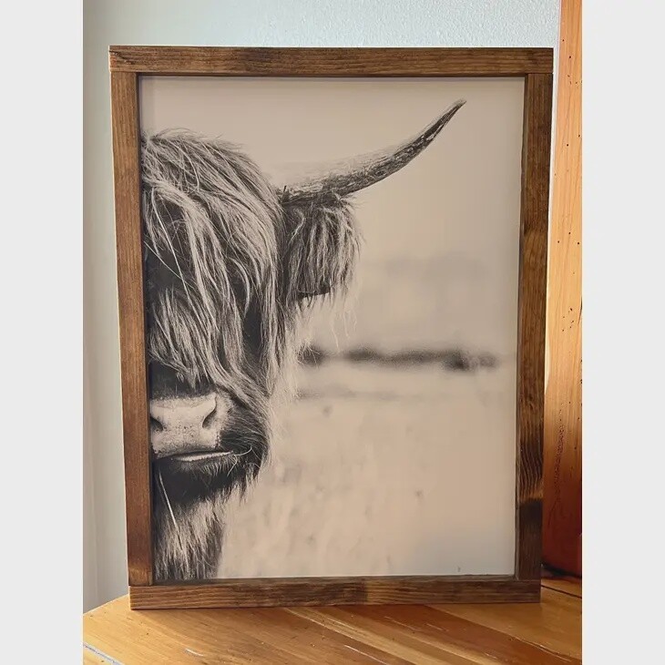 Highland Cow Side