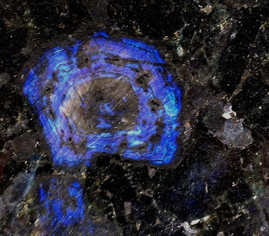 Black Stone Ukraine