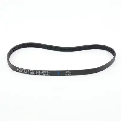 Riccar R20P, R20UP Lifetime Belt