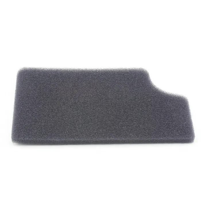 Riccar Secondary Filter (Black) - 4000 Series
