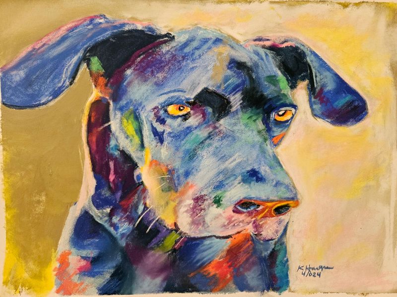 Blue Dog Blue Dog