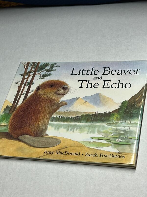 Little Beaver and The Echo, Amy MacDonald