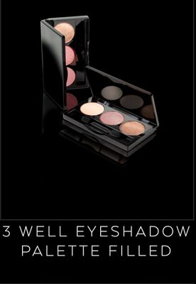 3 Well Eyeshadow Palette Filled