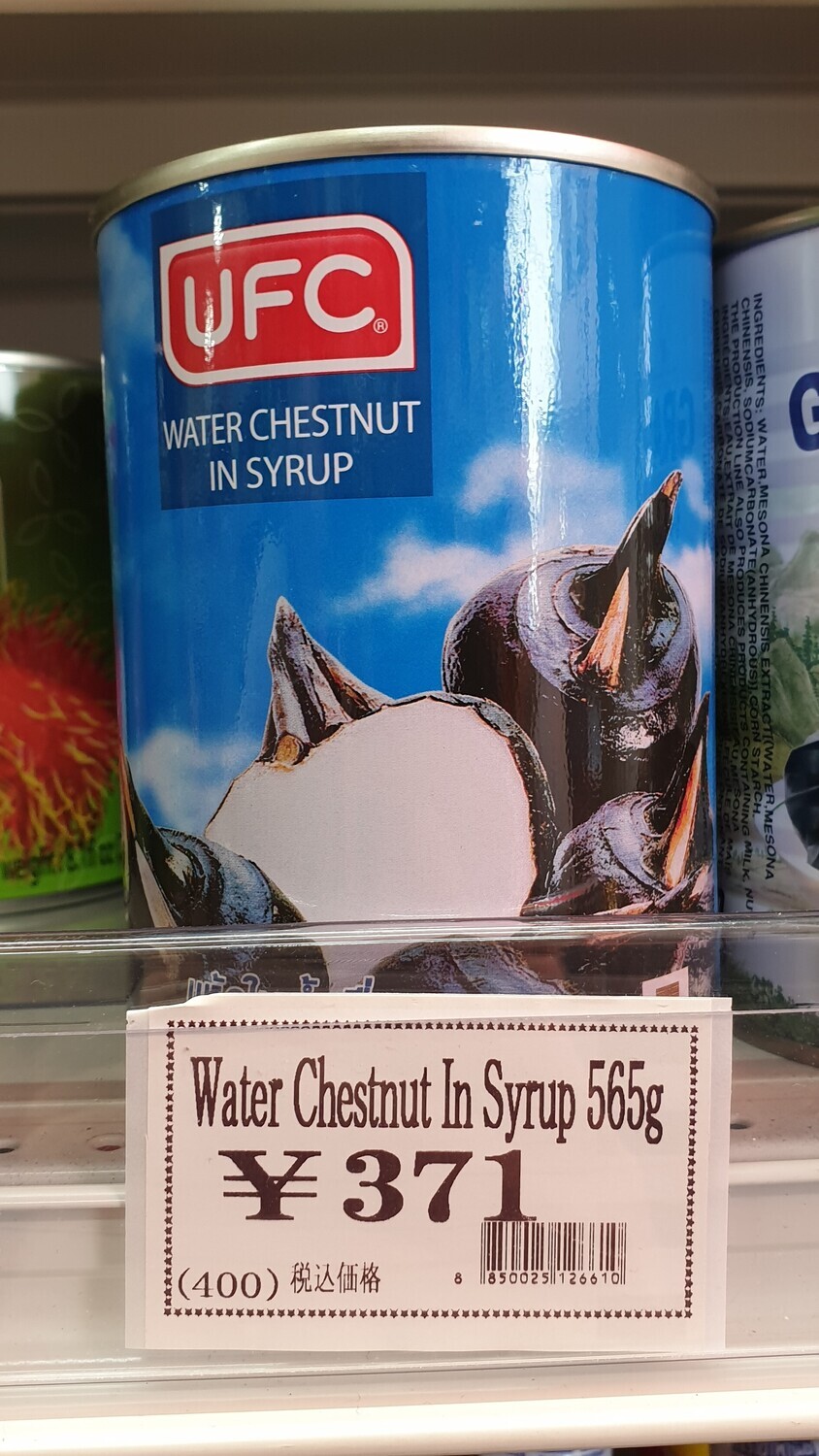 WATER CHESTNUT IN SYRUP - 565g