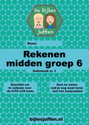 Oefenboek rekenen midden groep 6 nr. 3