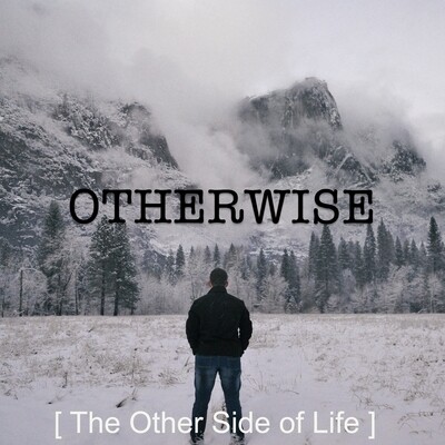 The Other Side of Life