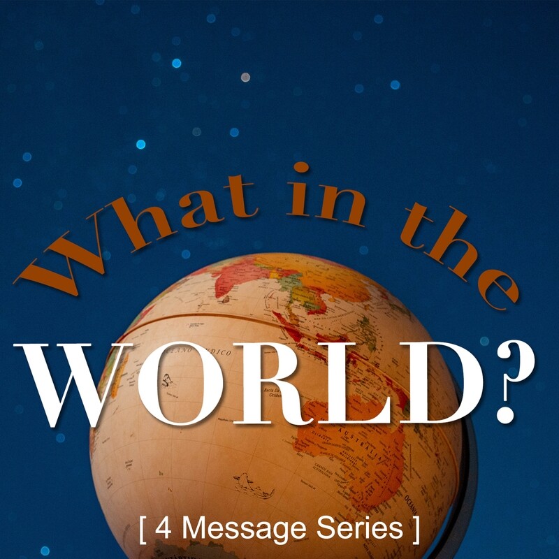 What in the World? (Series)