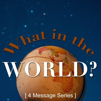 What in the World? (Series)