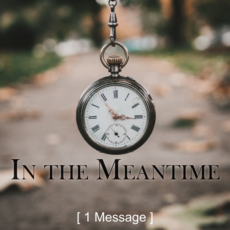 In the Meantime