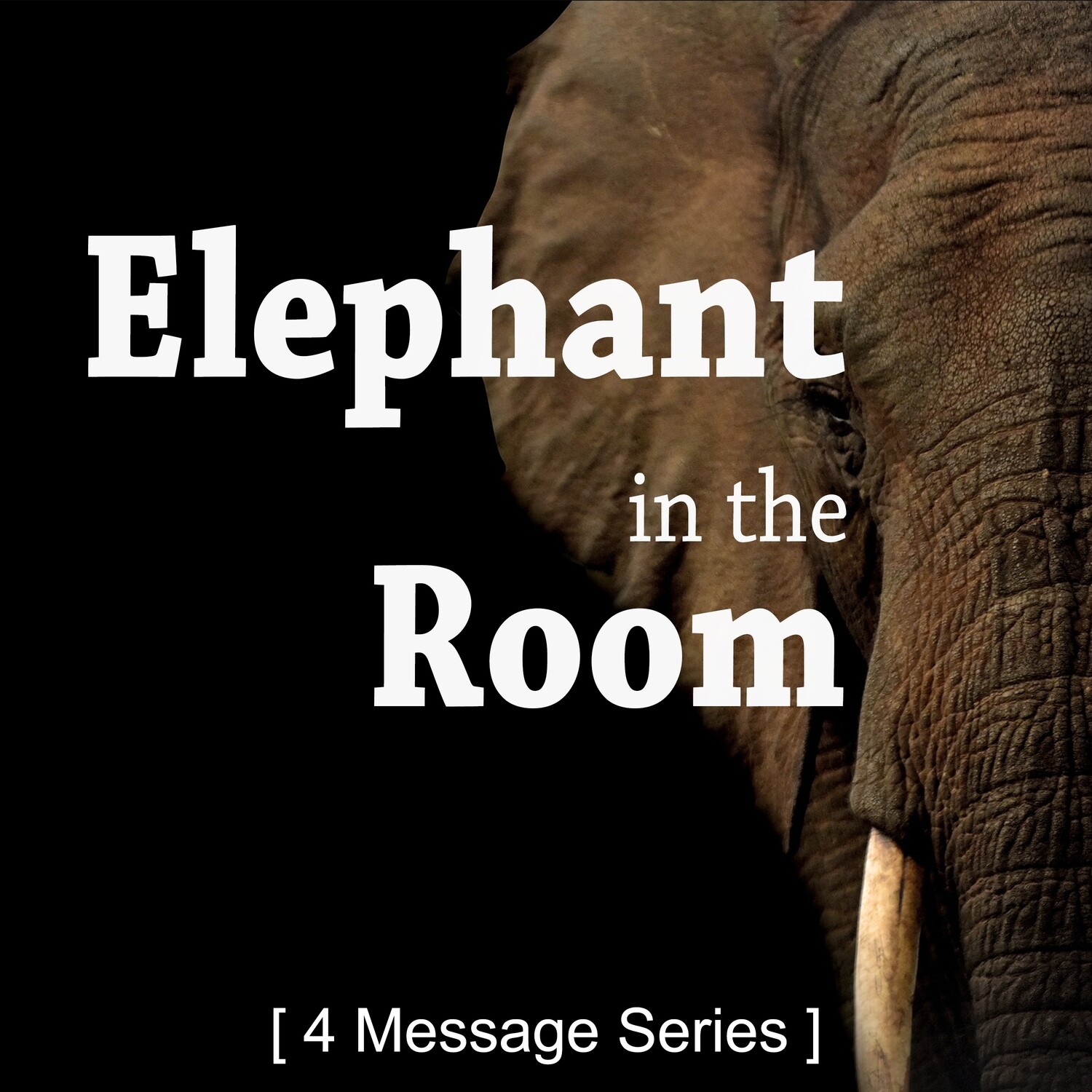 Elephant in the Room