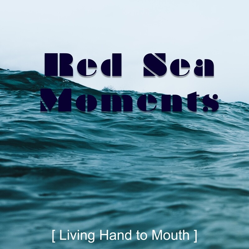Living Hand to Mouth