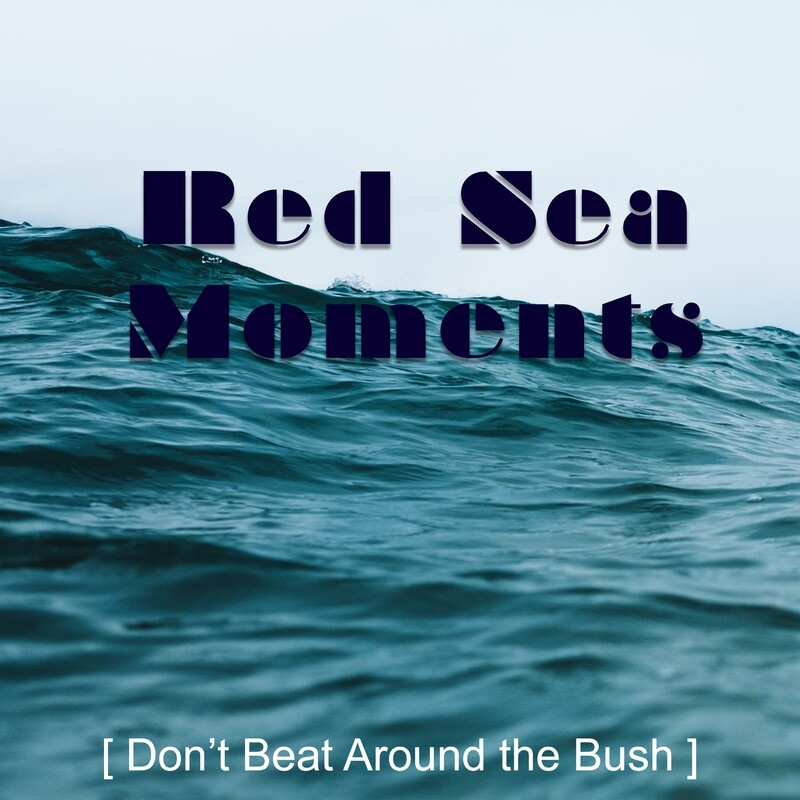 Don&#39;t Beat Around the Bush