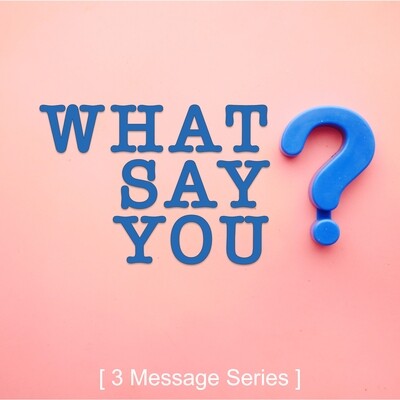 What Say You?