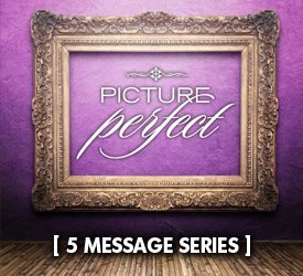Picture Perfect (Series)