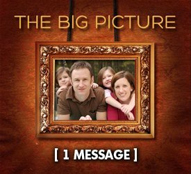 The Big Picture
