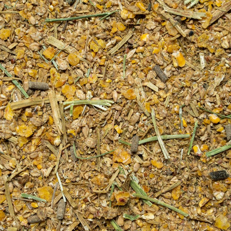 All in one Protect Müsli - BigBag 900kg