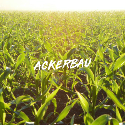 ACKERBAU