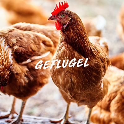 GEFLÜGEL