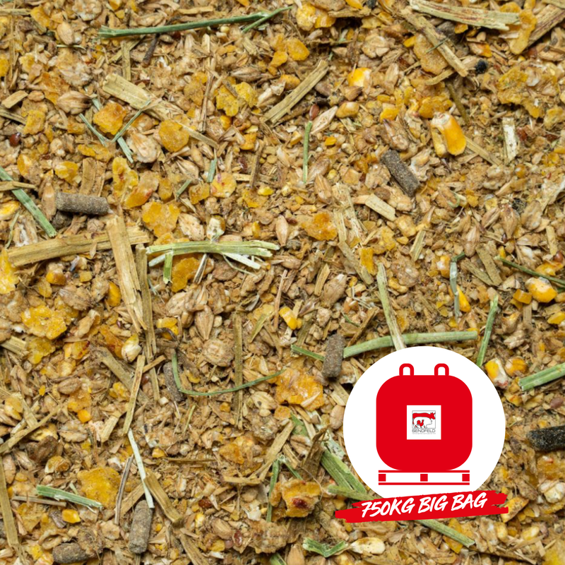 ALL IN ONE - PROTECT MÜSLI BIG BAG 750KG ALL IN ONE - PROTECT MÜSLI BIG BAG 750KG