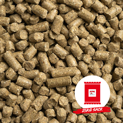 PELLET PROTECT 10 - SACKWARE PELLET PROTECT 10 - SACKWARE