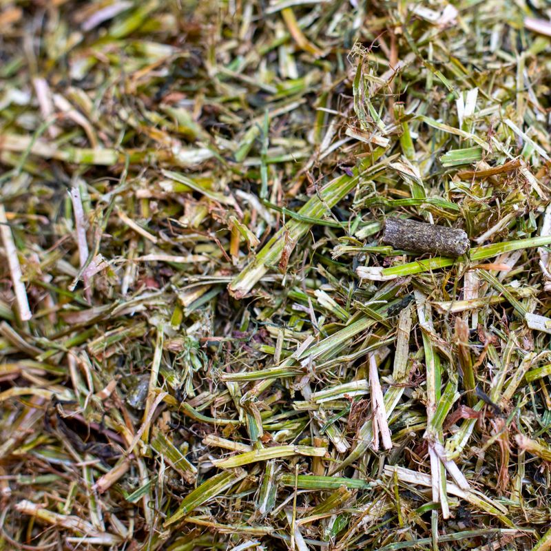 Luzerne Sackware 10 kg