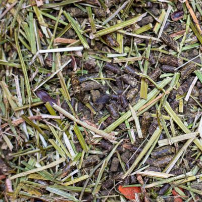 Grain-free - BigBag 900kg