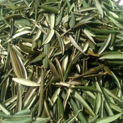 Amenazel Organic Olive Leaves