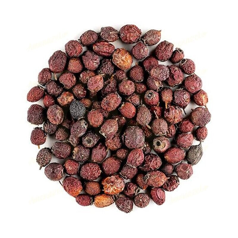 Magaria (Jujube) Fruit