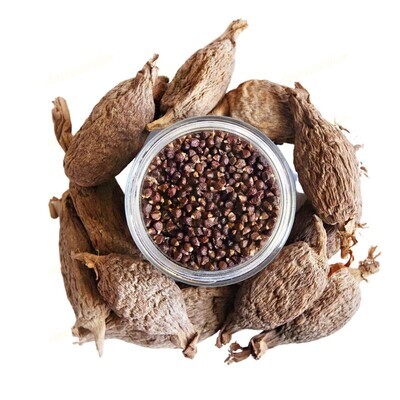 Amenazel Organic Alligator Pepper