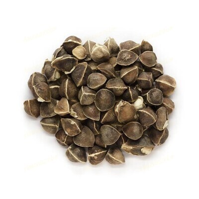 Amenazel Organic Moringa Seeds