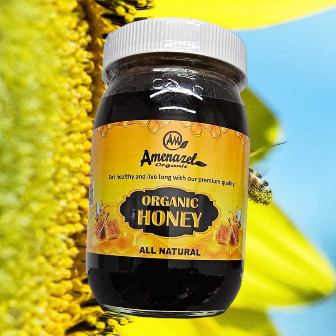 Organic Honey (32oz)