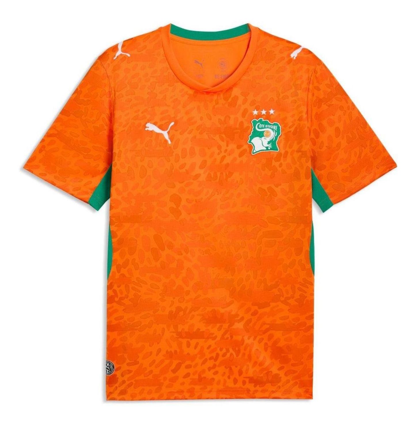 Côte d'Ivoire National Team Replica Fan Jersey