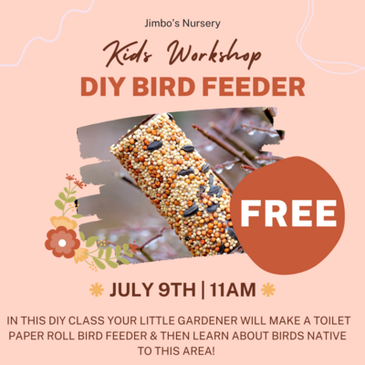 Kids Workshop | DIY Bird Feeder