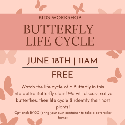 Kids Workshop | Butterfly Life Cycle